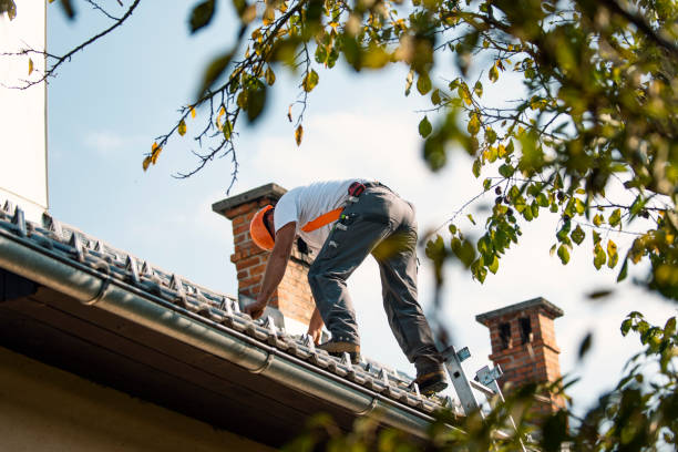 Best Roof Leak Repair  in Cary, NC