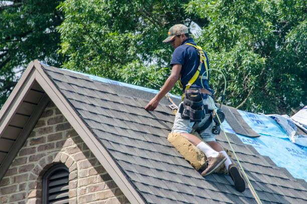 Best Metal Roofing Contractor  in Cary, NC